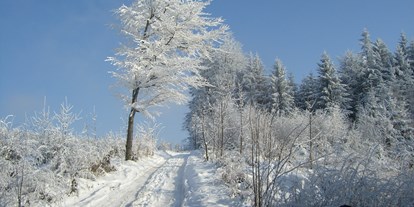 Winterhochzeit - Garten - Eidenberger Alm
