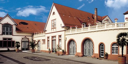 Winterhochzeit - Umgebung: in Weingärten - Der Innenhof - Palais Schloss Wachenheim