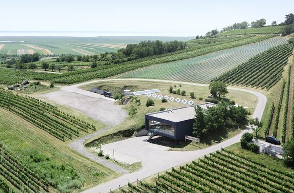 Hochzeit im Burgenland am Weingut