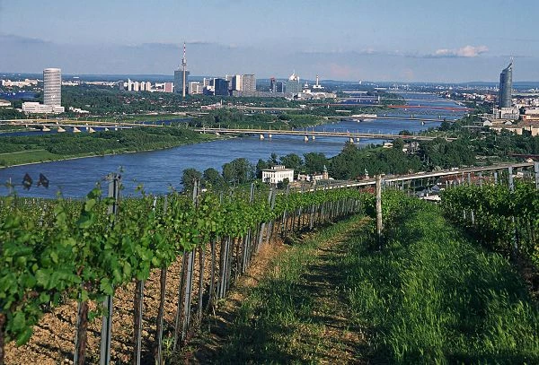 Wien vom Nu&szlig;berg aus betrachtet