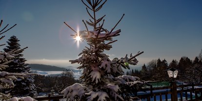 Winterhochzeit - Geeignet für: Geburtstagsfeier - Kematen an der Krems - Eidenberger Alm