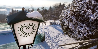 Winterhochzeit - Geeignet für: Gala, Tanzabend und Bälle - Kematen an der Krems - Eidenberger Alm