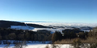 Winterhochzeit - Art der Location: Alm - Wolfgrub (Schönau im Mühlkreis, Bad Zell) - Eidenberger Alm