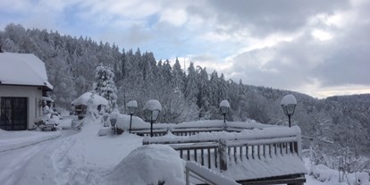 Winterhochzeit - Standesamt - Oberösterreich - Eidenberger Alm