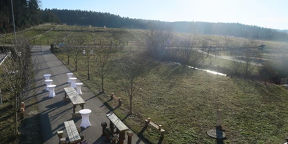 Winterhochzeit - Umgebung: im Park - Spöck (Neukirchen bei Lambach) - Wiese kann ebenfalls benutzt werden - Festsaal Doppelgraben