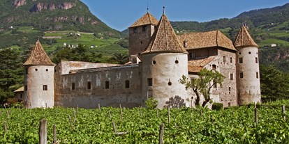 Winterhochzeit - Umgebung: in Weingärten - Italien - Historische Mauern, von Weinreben umgeben - Schloss Maretsch