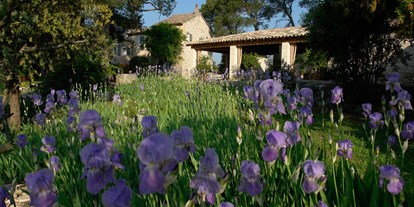 Winterhochzeit - Umgebung: im Park - Provence-Alpes-Côte d'Azur - Le Mas de la Rose