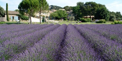 Winterhochzeit - Bewirtung: eigene Bewirtung - Provence-Alpes-Côte d'Azur - Le Mas de la Rose