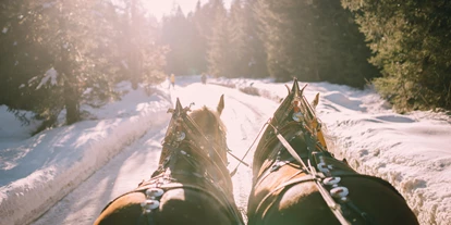 Winterhochzeit - Art der Location: Alm - Hinterriß (Vomp) - Mit der Pferdekutsche geht zur Hochzeitsfeier ins Waldgasthaus Triendlsäge. - Waldgasthaus Triendlsäge