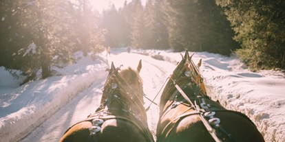 Winterhochzeit - Mit der Pferdekutsche geht zur Hochzeitsfeier ins Waldgasthaus Triendlsäge. - Waldgasthaus Triendlsäge