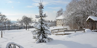 Winterhochzeit - Stieglhöfen - Vedahof - Gramastetten