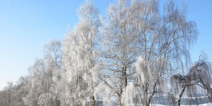 Winterhochzeit - Perfekte Jahreszeit: Frühlings-Hochzeit - Au bei Hischmannsberg - Vedahof - Gramastetten