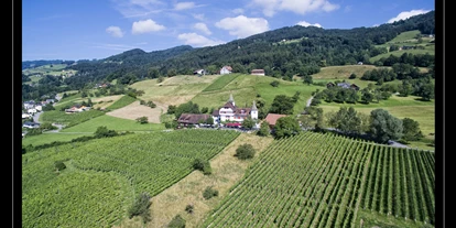Winterhochzeit - Preisniveau: €€€ - St. Gallen - Schloss Weinstein - Schloss Weinstein