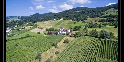 Winterhochzeit - Umgebung: in Weingärten - Bludenz - Schloss Weinstein - Schloss Weinstein