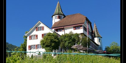 Winterhochzeit - Umgebung: in Weingärten - Bludenz - Schloss Weinstein - Schloss Weinstein