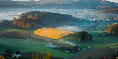 Winterhochzeit - Preisniveau: €€ - Schwanberg - Herbst am Flamberg - Weingartenhotel Harkamp