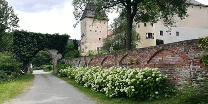 Winterhochzeit - Art der Location: Burg - Mayerhöfen (Reichenau an der Rax) - Burg Feistritz - Burg Feistritz