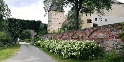 Winterhochzeit - Art der Location: Burg - Aigen (Hernstein) - Burg Feistritz - Burg Feistritz