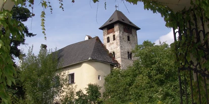 Winterhochzeit - Art der Location: Burg - Schallemmersdorf - Außenansicht - Hotel Burg Oberranna