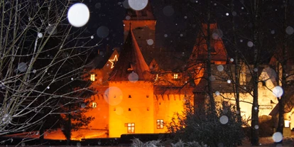 Winterhochzeit - Perfekte Jahreszeit: Frühlings-Hochzeit - Matzelsdorf (Burgschleinitz-Kühnring) - Winterlandschaft - Schloss Ottenstein