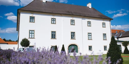 Winterhochzeit - Umgebung: am Land - Obergänserndorf - Schloss Raggendorf