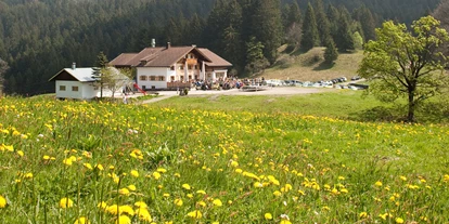 Winterhochzeit - Preisniveau: €€ - Neukirch (Bodenseekreis) - Millrütte Frühling  - Millrütte Resort GmbH