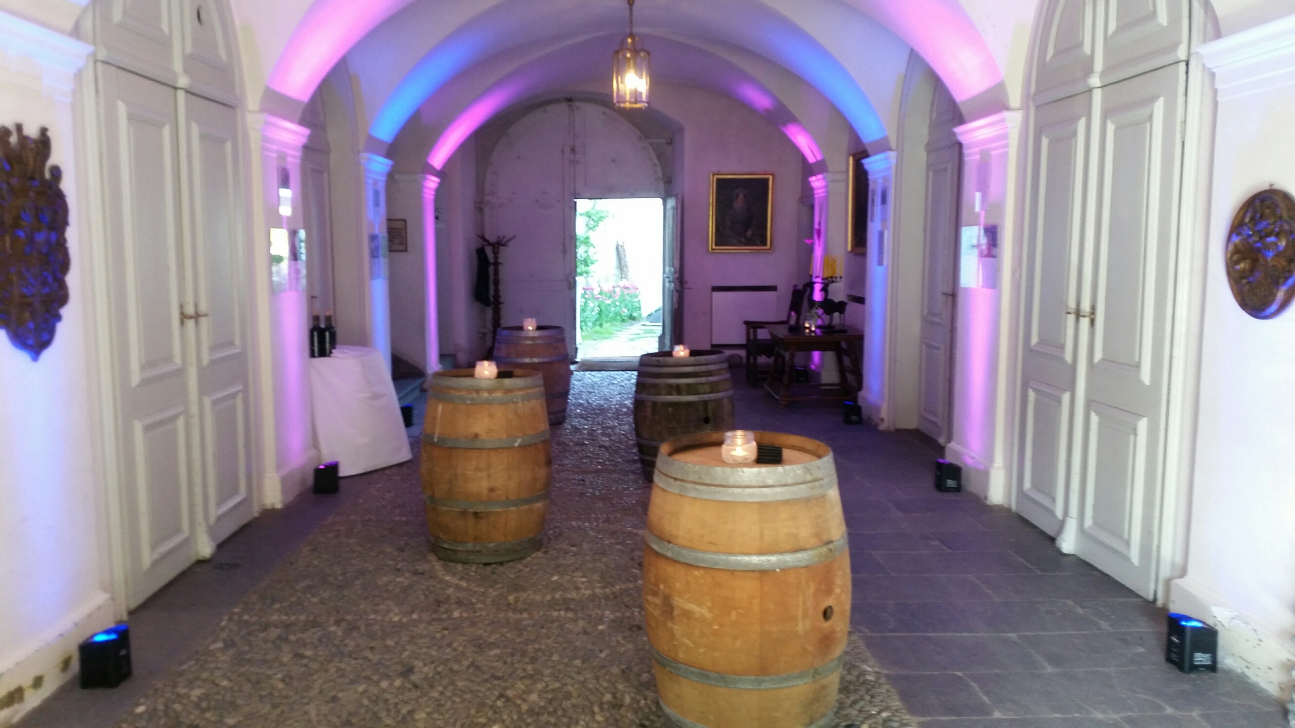 Hochzeitslocation - Schlossgang, ideal für Stehapéros, Flying Dinner, mit wunderbarer gewölbter Decke - Event Schloss Reichenau