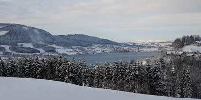 Winterhochzeit - barrierefreie Location - Schwöll - Blick auf den Attersee. - Feldbauernhof