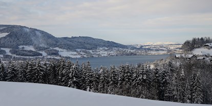 Winterhochzeit - Bürglstein - Blick auf den Attersee. - Feldbauernhof
