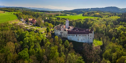 Winterhochzeit - Art der Location: Schloss - Sooß (Hürm) - Die Schallaburg im Überblick - Schallaburg