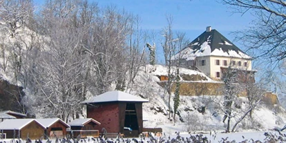 Winterhochzeit - Trauung im Freien - Altwartenburg (Vöcklabruck, Timelkam) - Das Schloss im Winter vom der Weyerbucht aus - Schloss Mattsee