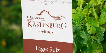 Winterhochzeit - Umgebung: in Weingärten - Sulztal - KulturWeingut Kästenburg