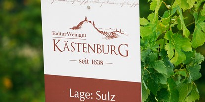 Winterhochzeit - Garten - Süd & West Steiermark - KulturWeingut Kästenburg