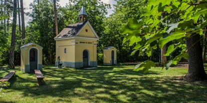 Winterhochzeit - Kapelle - Obergänserndorf - Kapelle im nahe gelegenen Wäldchen.  - Rochussaal