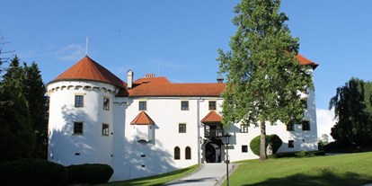Winterhochzeit - Umgebung: im Park - Dolenjska & Bela Krajina / Küste und Karst - Schloss Bogenšperk
