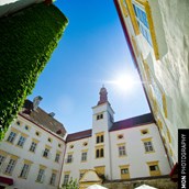 Hochzeitslocation - Feiern Sie Ihre Hochzeit im Schloss Krumbach in Niederösterreich.
Foto © greenlemon.at
 - Hotel Schloss Krumbach
