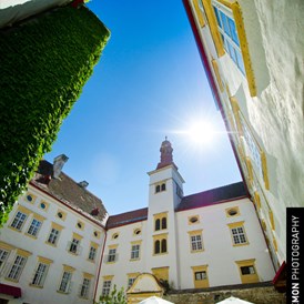 Hochzeitslocation: Feiern Sie Ihre Hochzeit im Schloss Krumbach in Niederösterreich.
Foto © greenlemon.at
 - Hotel Schloss Krumbach