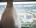 Hochzeitslocation: Heiraten im Hotel Yasmin in Košice, in der Slowakei.
Foto © stillandmotionpictures.com - Hotel Yasmin