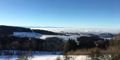 Winterhochzeit - Neumarkt im Mühlkreis - Eidenberger Alm