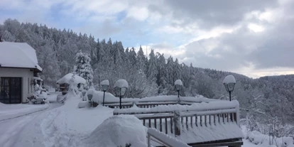Winterhochzeit - Neumarkt im Mühlkreis - Eidenberger Alm