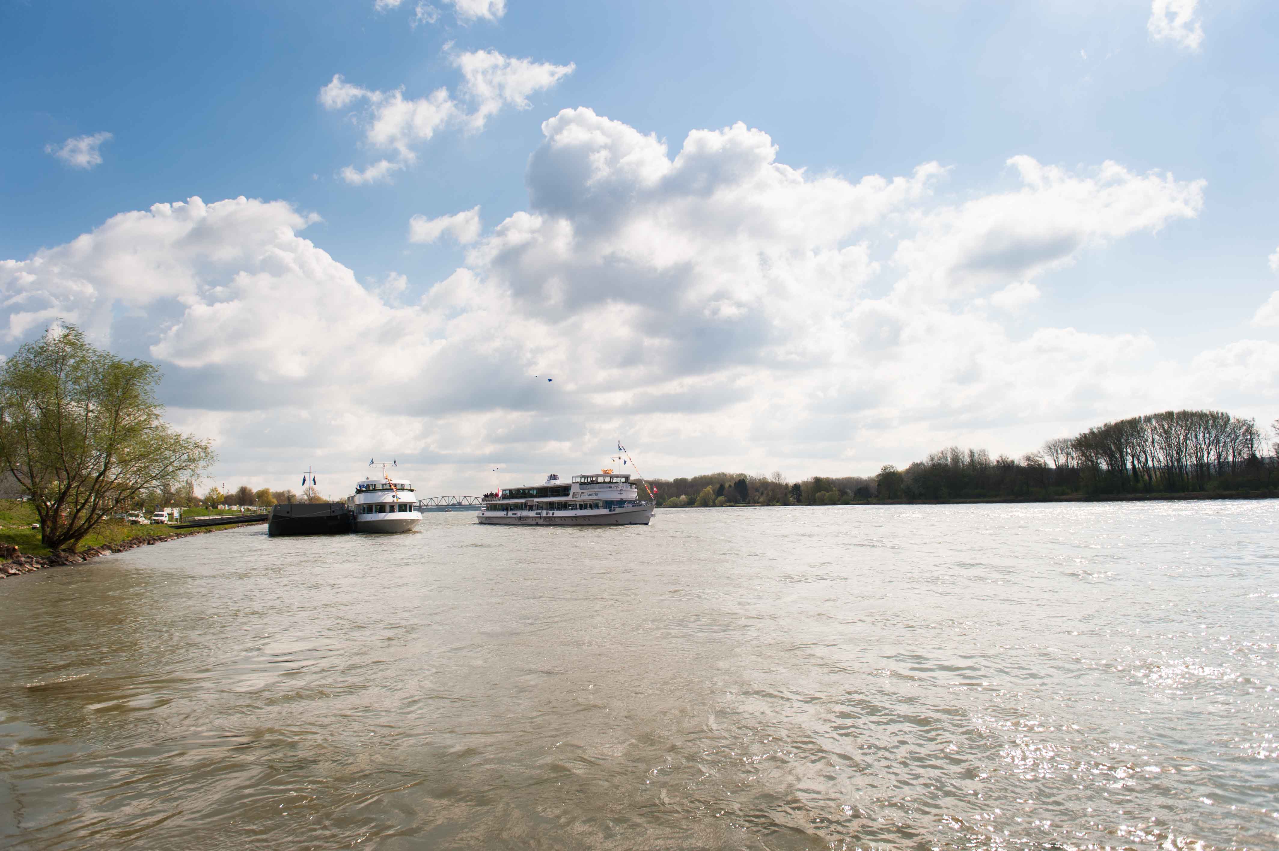 Winterhochzeit - Breitenbrunn (Breitenbrunn am Neusiedler See) - MS Austria und ms austria princess - BRANDNER Schiffahrt