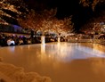 Hochzeitslocation: Romantische Eisbahn für eine Winterhochzeit (Nov bis Jan) - Romantik  Seehotel Sonne 