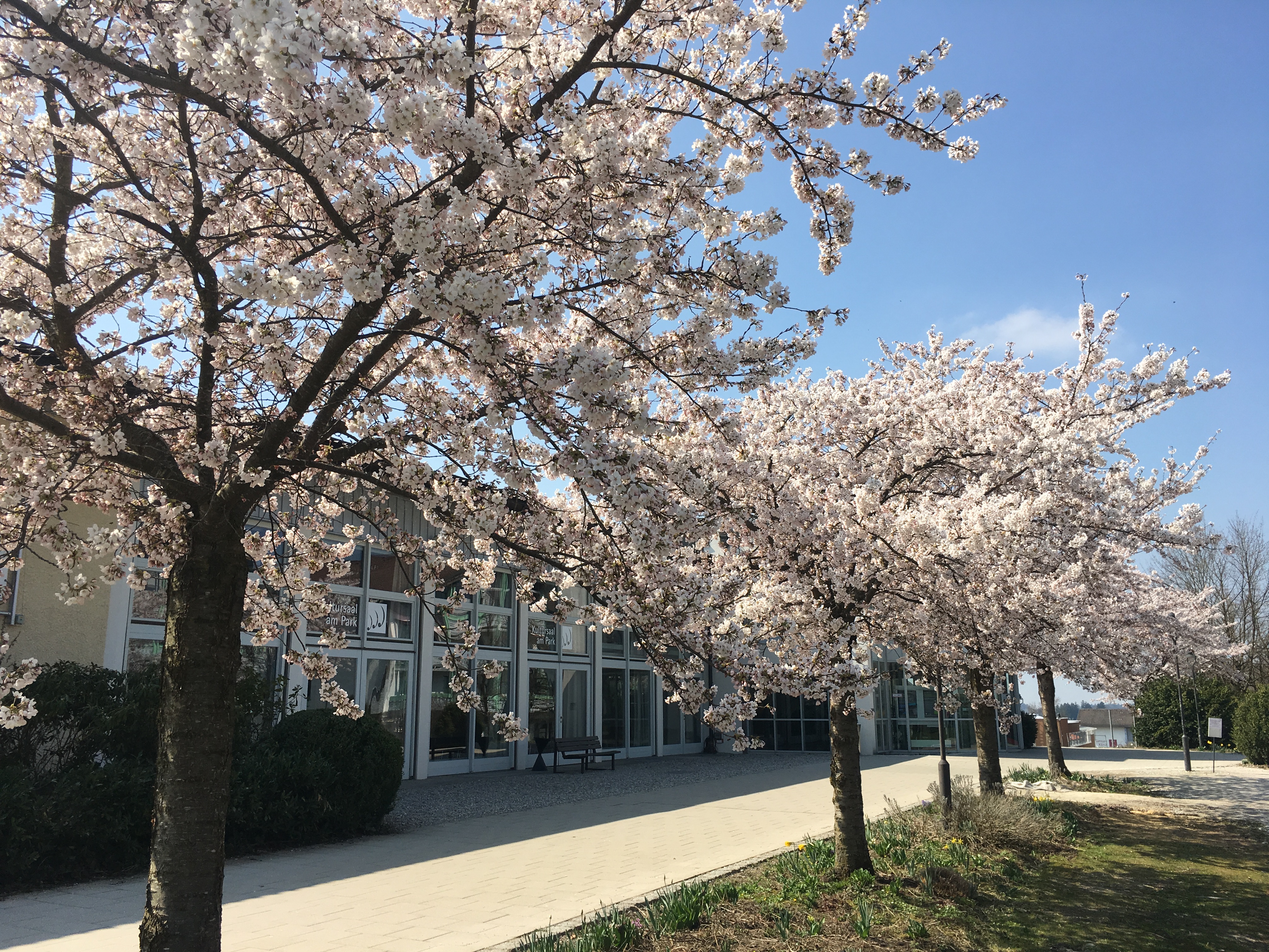 Hochzeitslocation: Kultursaal am Park