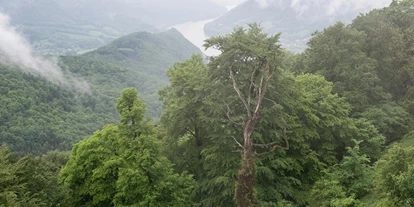 Winterhochzeit - Karlstetten - Blick von der Burgruine auf die Donau. - Burgruine Aggstein