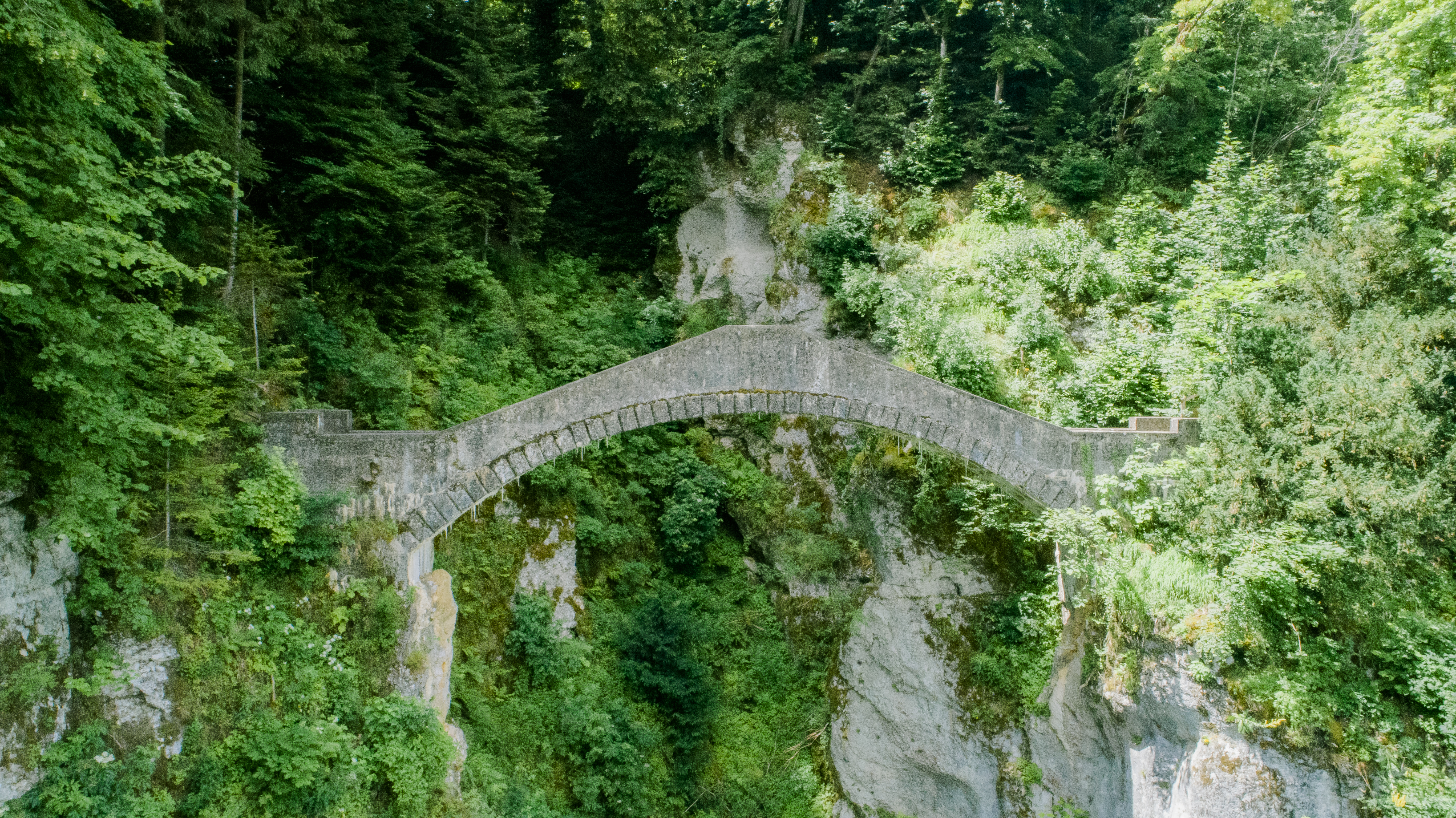 Hochzeitslocation: Meinradskapelle - Waldhochzeit im Fürstl. Park Inzigkofen