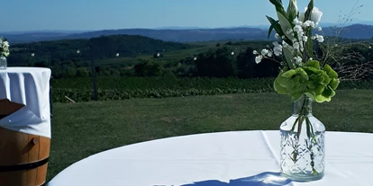Winterhochzeit - Karlstetten - Unsere große Wiese eignet sich ideal für den Empfang und Agape! - WEINGUT & WEINBLICK Grafinger