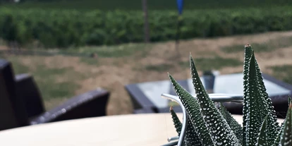 Winterhochzeit - Karlstetten - WEINGUT & WEINBLICK Grafinger