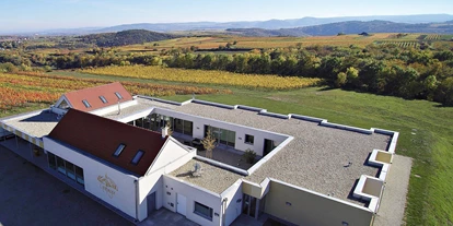 Winterhochzeit - Karlstetten - WEINBLICK Grafinger - WEINGUT & WEINBLICK Grafinger