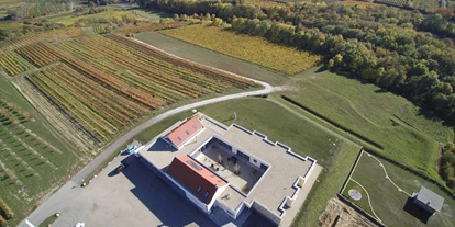 Winterhochzeit - Karlstetten - WEINGUT & WEINBLICK Grafinger