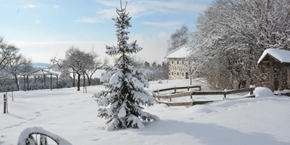 Winterhochzeit - Neumarkt im Mühlkreis - Vedahof - Gramastetten